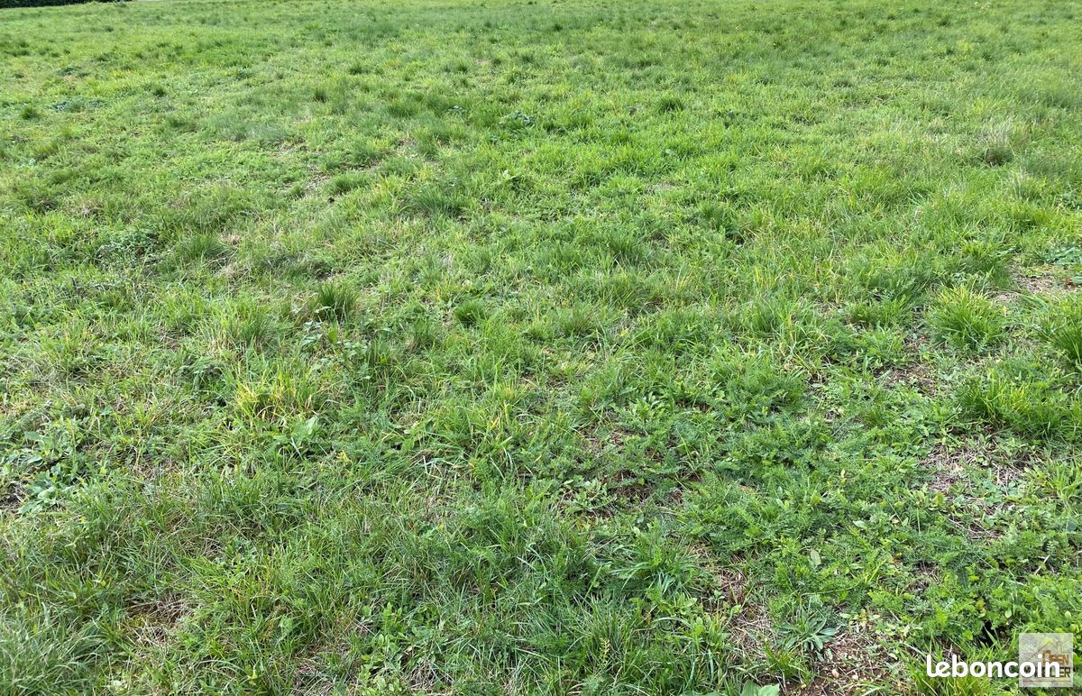 Terrain 1083 m² · à Gorre · 1 083 m² · 40 000 €