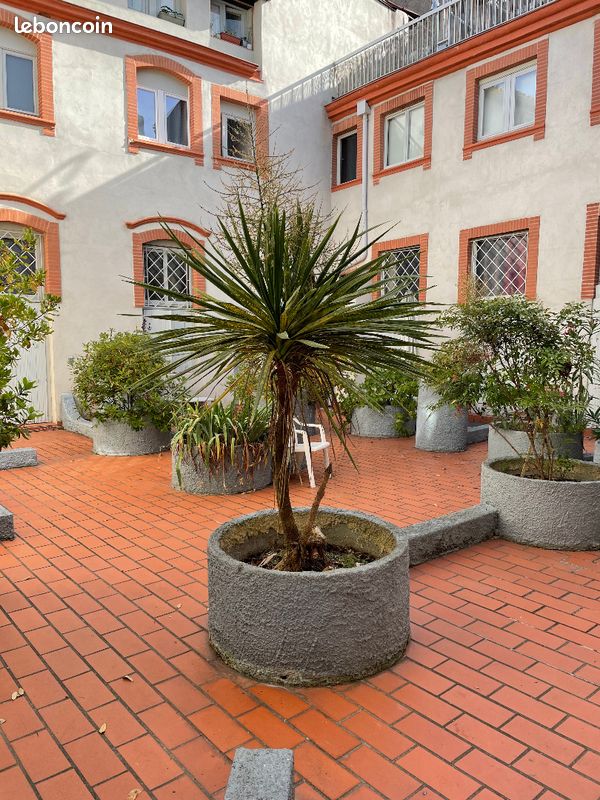 Appartement 1 pièce 18 m² · à Toulouse · 18 m² · 132 000 €
