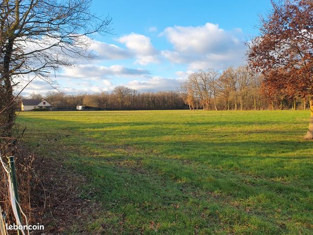 Pré 2ha clôturé pour chevaux