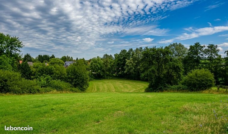 Terrain 3927 m² Avesnes-sur-Helpe