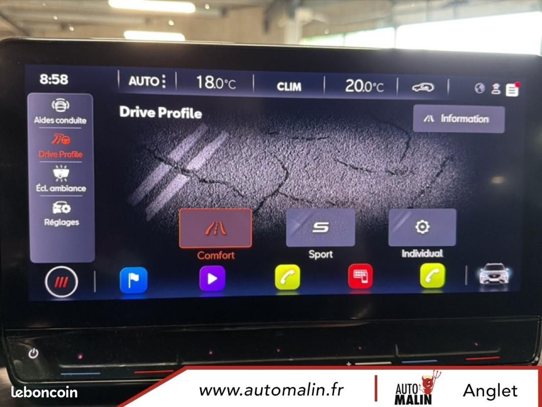 Cupra Formentor 2.0 TDI 150 ch Business Edition (image 33)