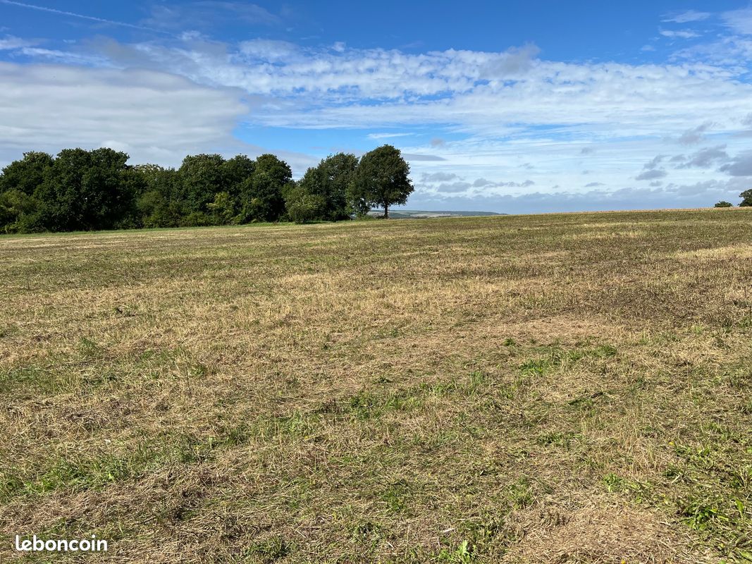 Nouveau prix, terrain à bâtir à Soucy · à Saint-Clément · 55 000 €