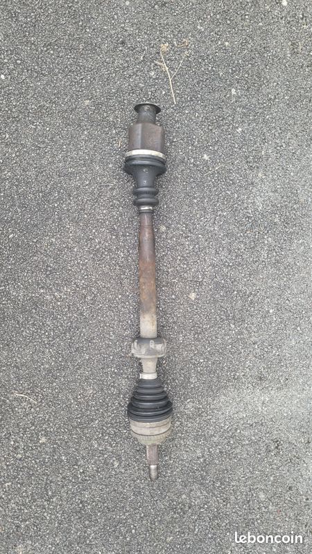 Cardan (image 1)
