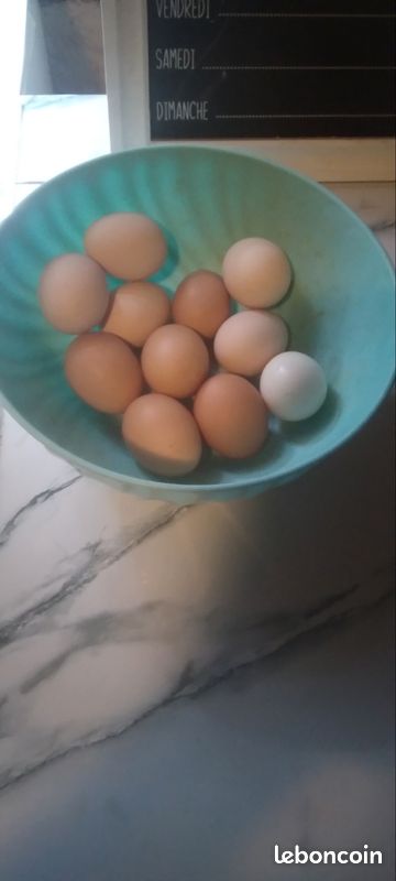 Oeufs (image 1)