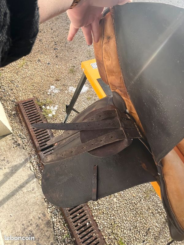 Selle d’équitation (image 7)