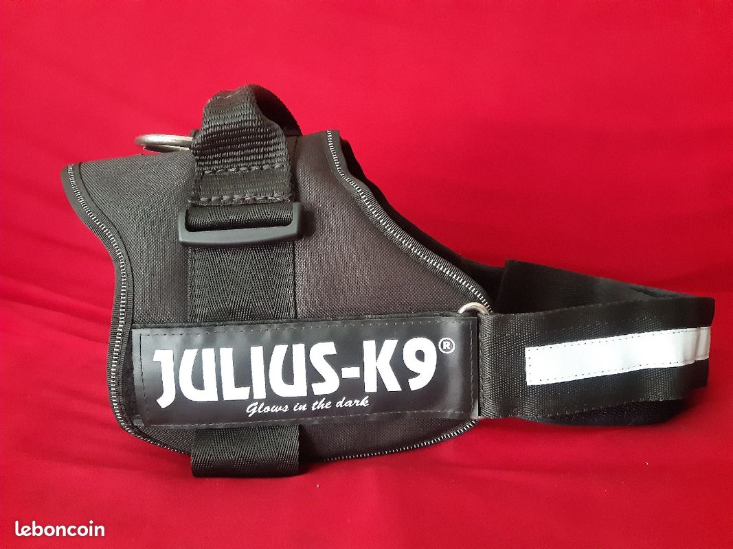 Harnais pour chien Julius K9 - taille 2 (image 1)