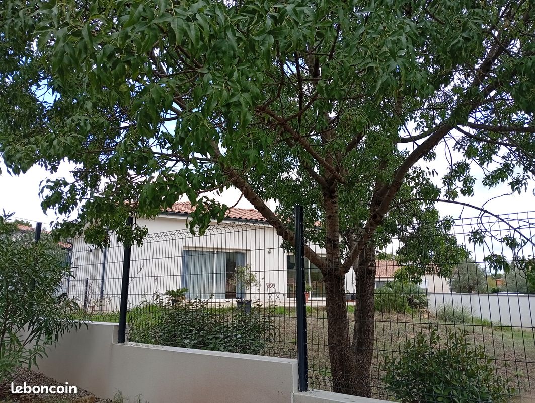 Maison 6 pièces 117 m² · à Clermont-l'Hérault · 117 m² · 385 000 €