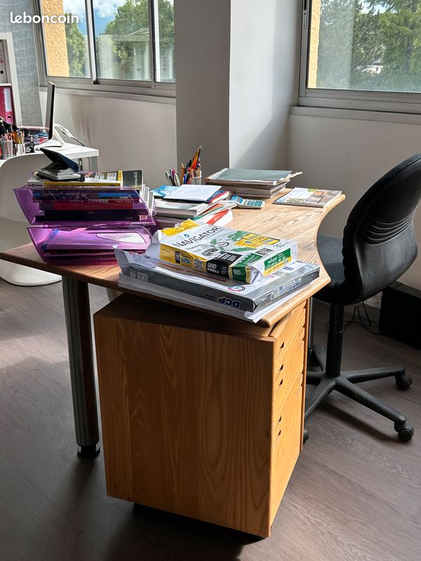 Orme massif bureau (image 2)