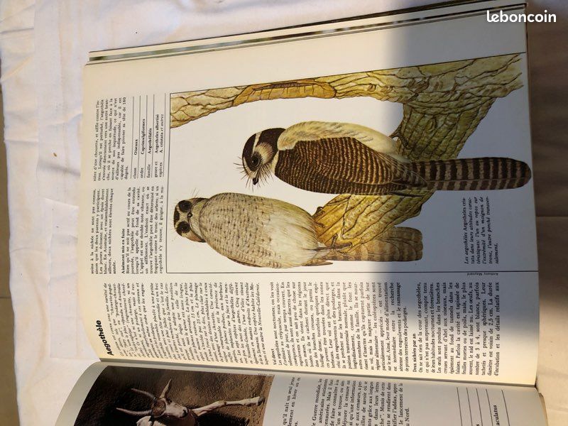 Le royaume des animaux tome 1 (image 3)