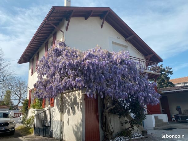 Location de septembre à juin maison de quatre chambre plus piéce paliére proche bayonne anglet
