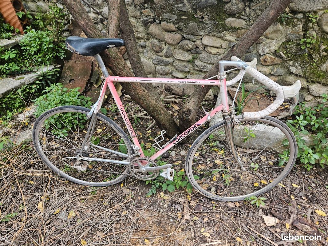 Concorde aquila Vélos