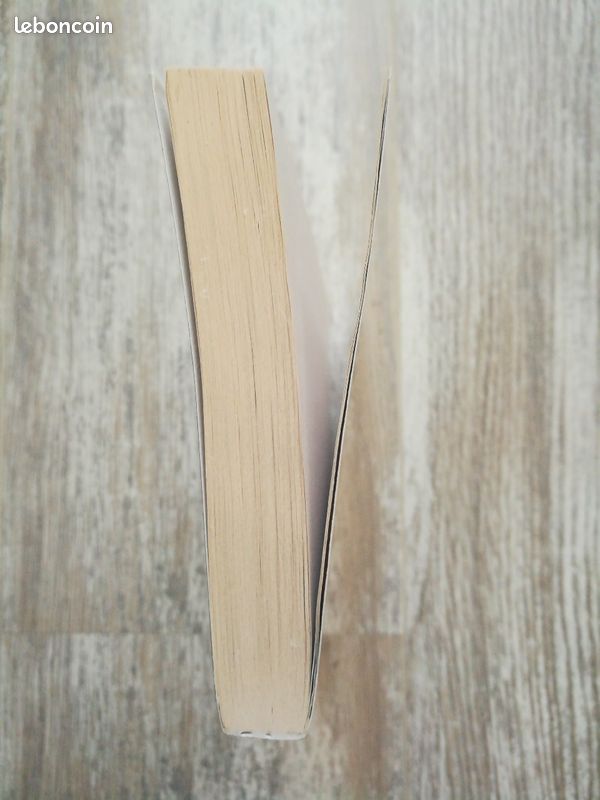Livre roman Quelqu'un de bien de Françoise Bourdin (image 9)