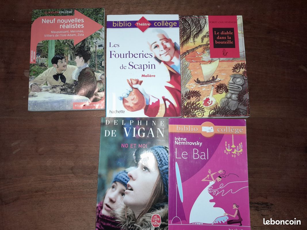 Livres collège / lycée (image 4)