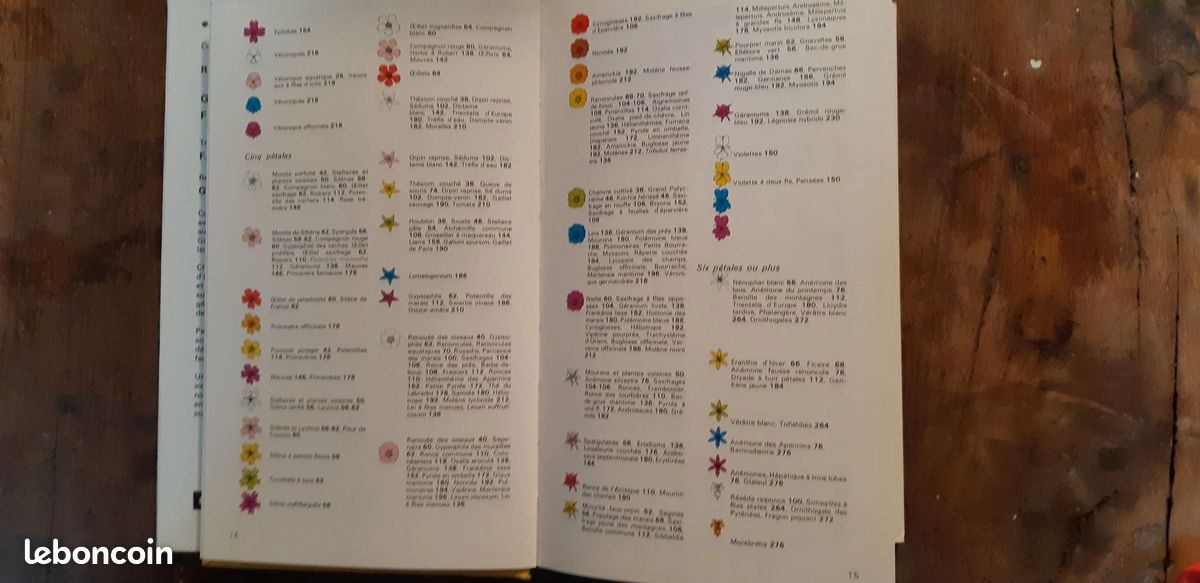 Guide des fleurs sauvages (image 5)