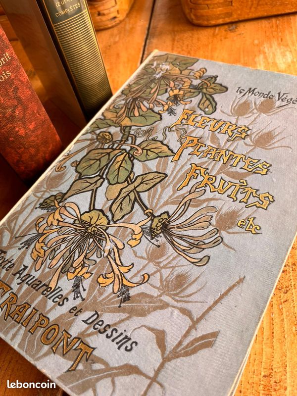 Livre Fleurs, Plantes, Fruits. Le monde végétal de G Fraipont (image 3)