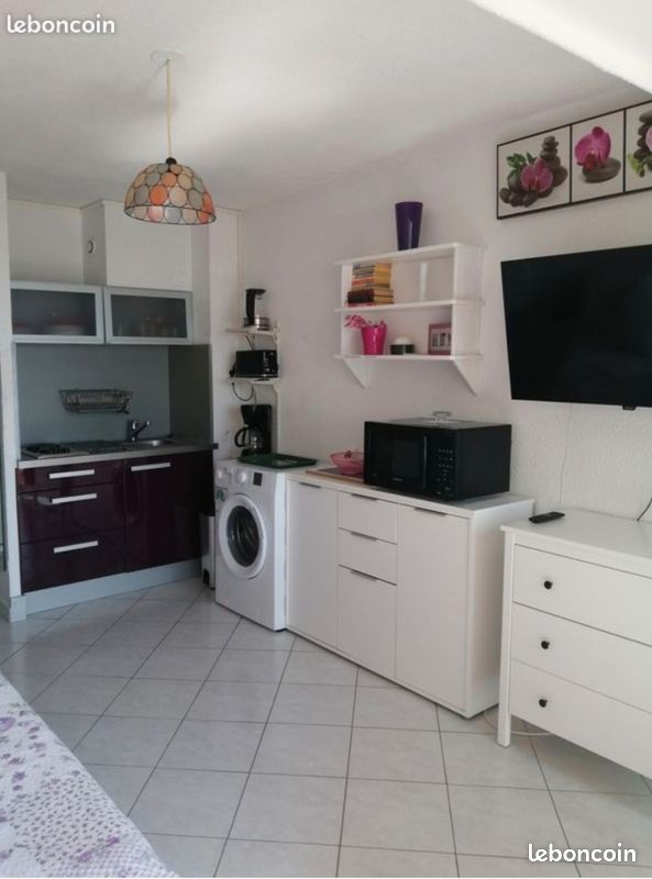 Magnifique studio face étang (image 4)
