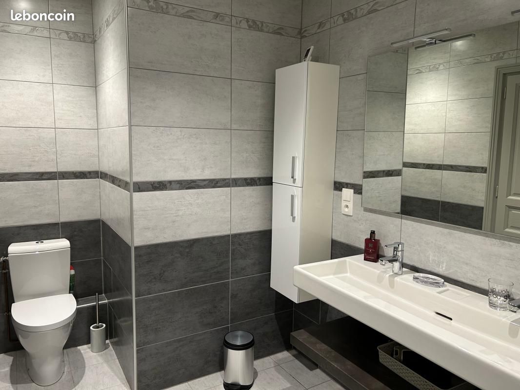 Maison 4 pièces 185 m² - Saint-Pierre-de-Juillers 17400 (image principale 12)