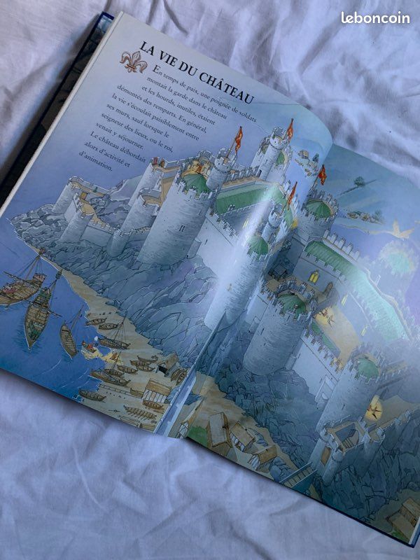 Livre sur châteaux forts (image 3)