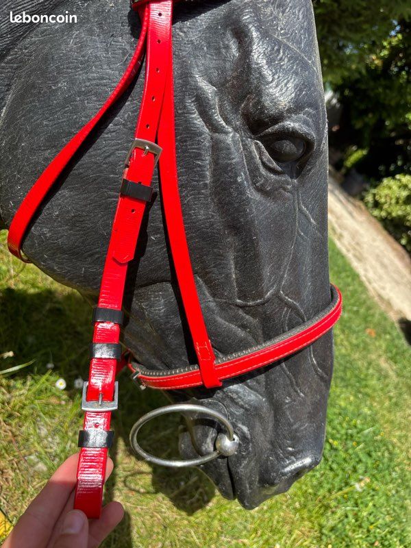 Bridon/licol RANDOL'S de randonnée surpiqué - Equi Agri