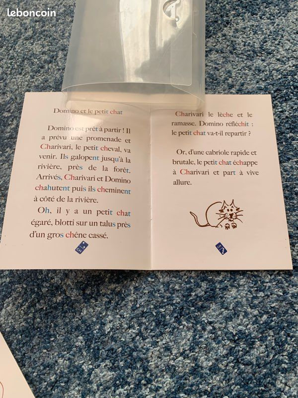 Lot de matériel Montessori Lecture (image 10)