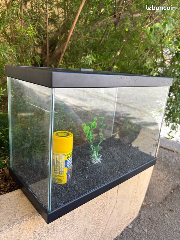 Aquarium (image 2)