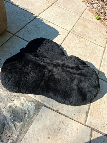 a vendre selle pour cheval (594910) | Acheter cette selle d'occasion | France