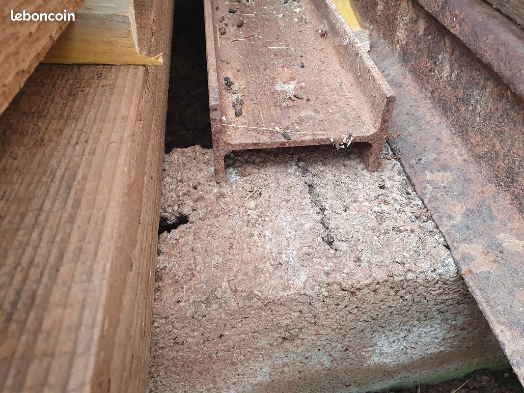 Ipn (image 3)