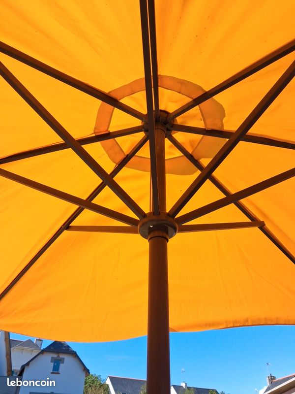 Parasol (image 2)