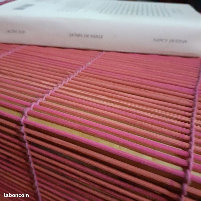 Lignes de faille. Nancy Huston. ACTES SUD (image 3)