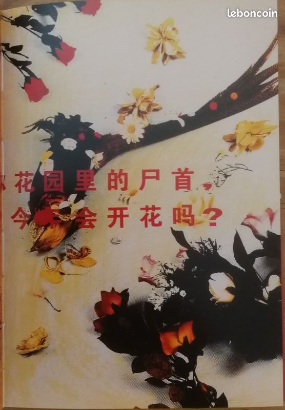 Hong Lei : photographies - peintures (image 3)