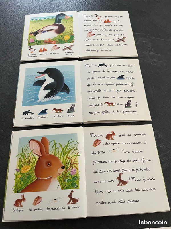 Collection livre je lis avec le dauphin le lapin le canard (image 2)