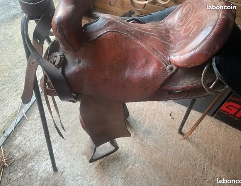 Aile Western En Cuir Pour Adulte – Challenger – Taille 16-1/4" X 8" – Marron