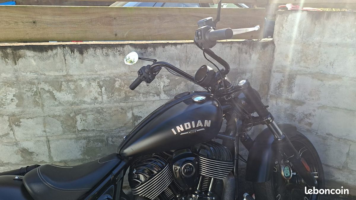 Indian chief dark horse (image 2)