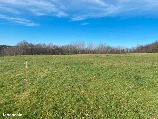 Terrain Constructible 3016m²