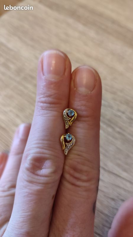 Boucles d'oreille (image 1)