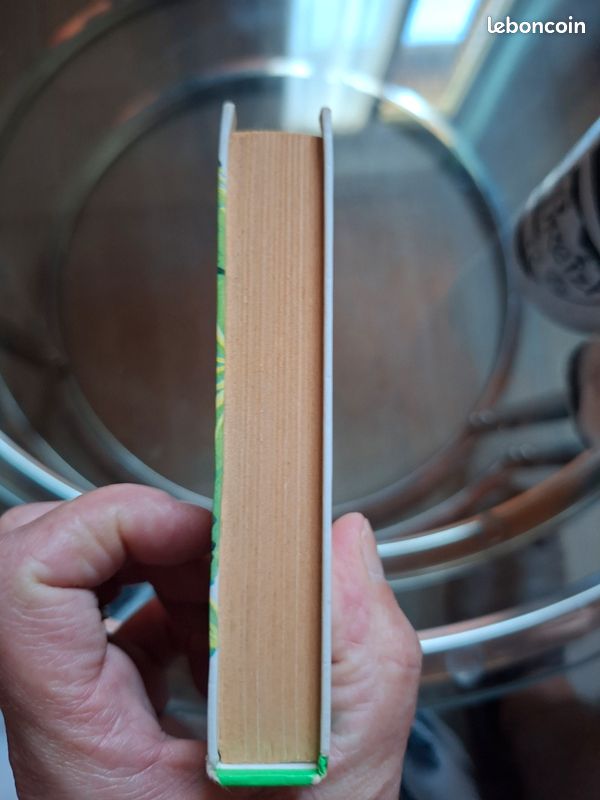 Livre Jerry dans l'île par Jack London. Bibliothèque verte de 1960. Excellent état (image 4)
