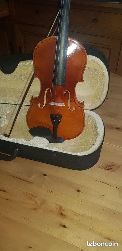 Violon 4/4 (image 2)