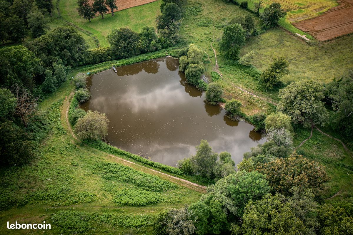 Gîte piscine intérieure privée couverte chauffée - Etang de pêche - Terrain clos - Animaux acceptés. En Creuse, entre Limousin et Berry. Ouvert vacances Toussaint (image 18)