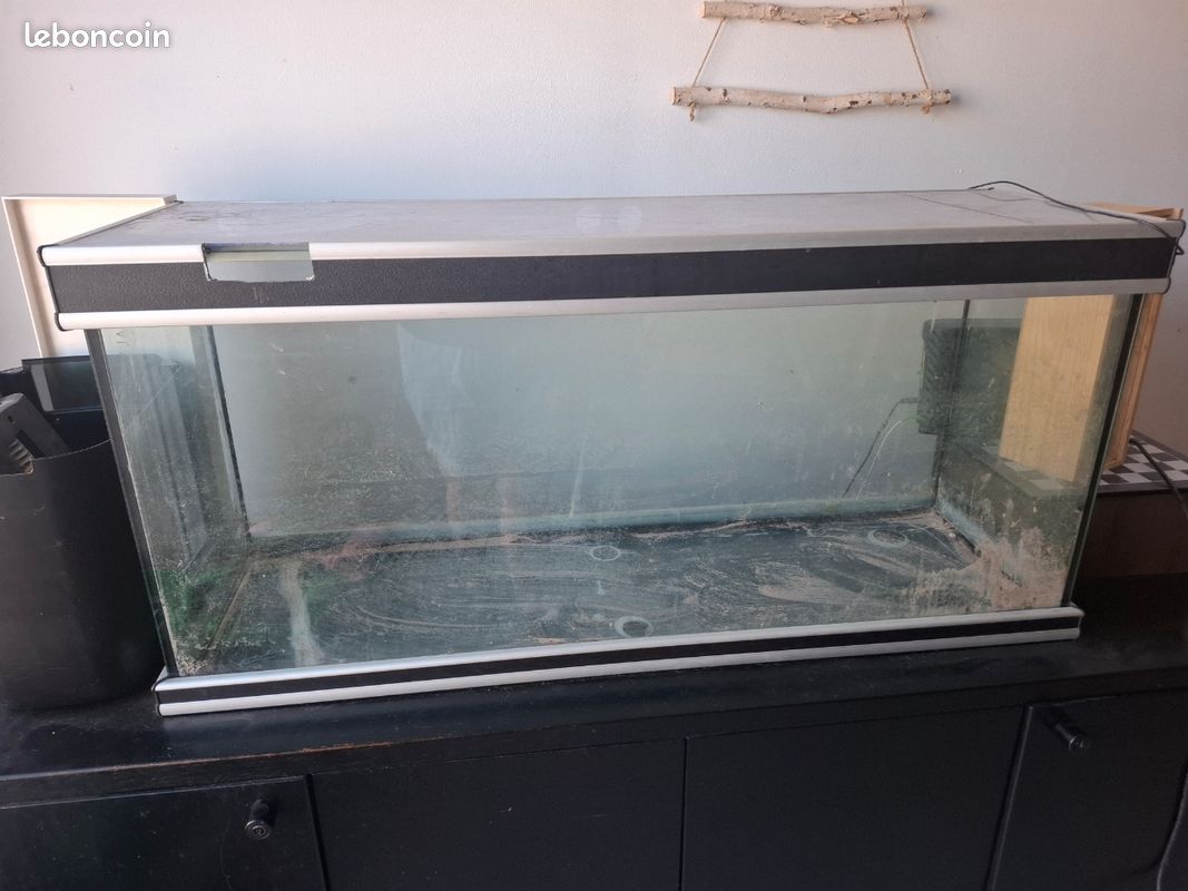 Aquarium (image 1)