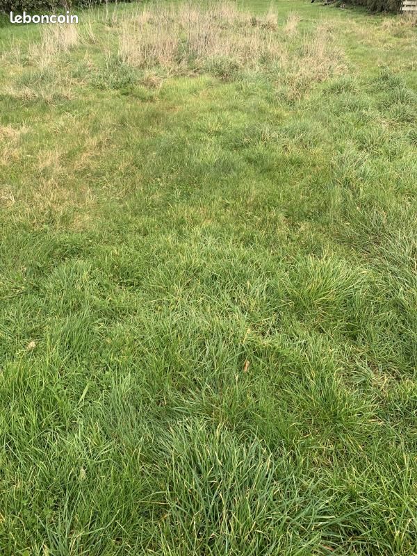 Terrain 480 m² Taule · à Taulé · 52 500 €