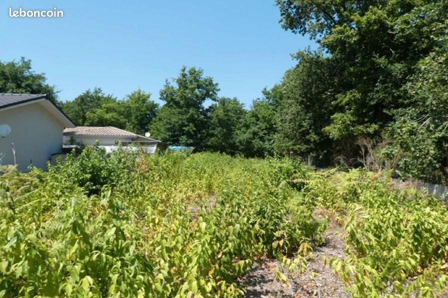 Terrain 676 m² Audenge · 225 000 €