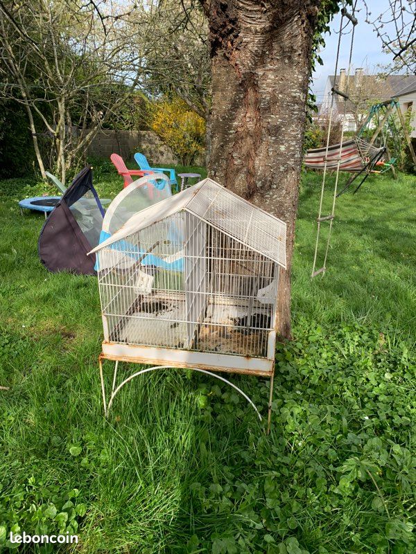 Cage a oiseaux (image 1)
