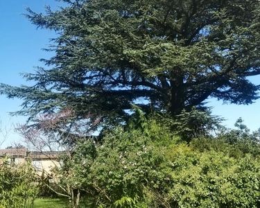 Maison 1 495 000 € - 328 m²