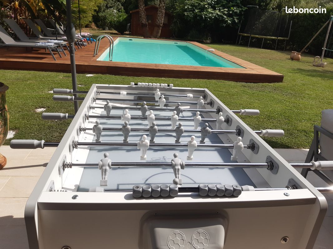 Près de Cannes villa 4 chambres climatisée piscine privée grand jardin (image 19)