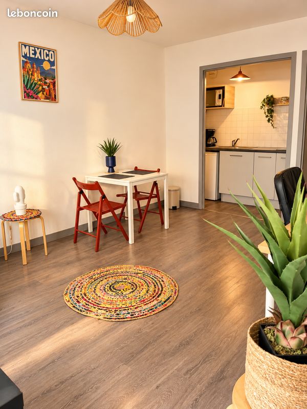 Appartement 1 pièce 35 m² · à Saint-Étienne · 35 m² · 470 €/mois