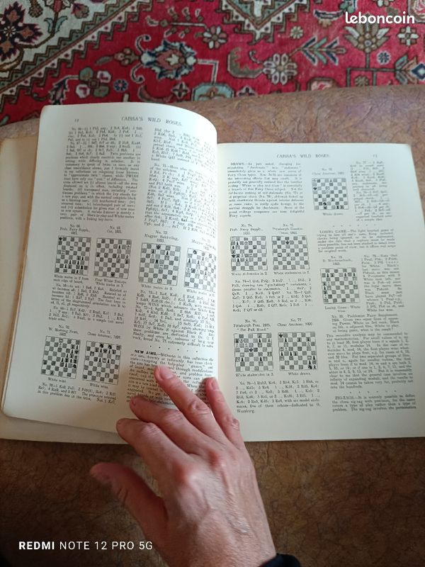 Five classics of fairy chess (image 12)