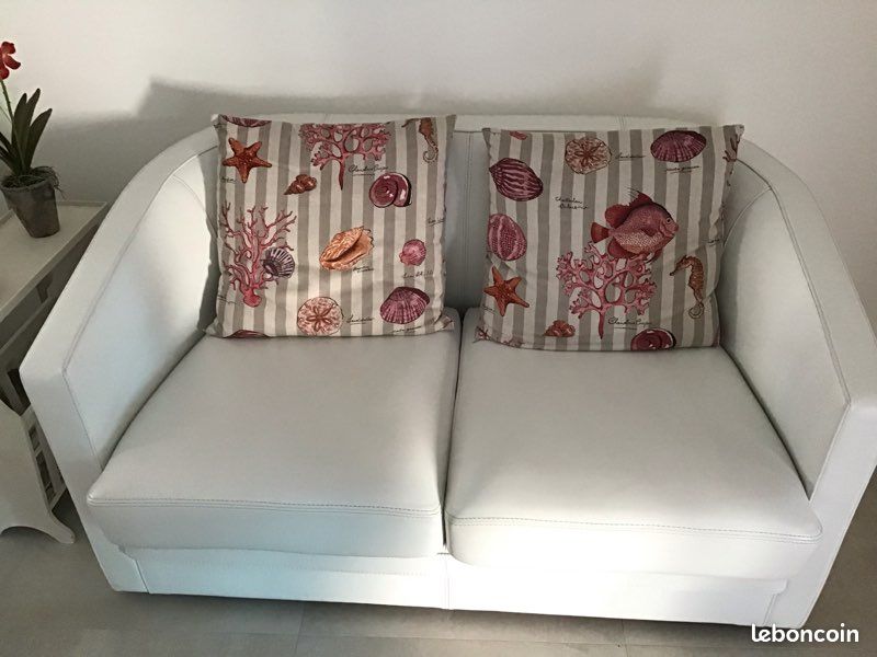 Canapé cuir (image 1)