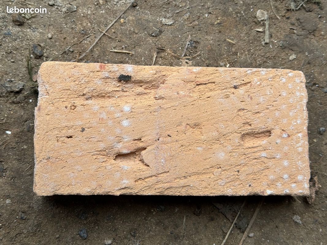 Lot 365 briques pleines anciennes (6m2) (image 2)