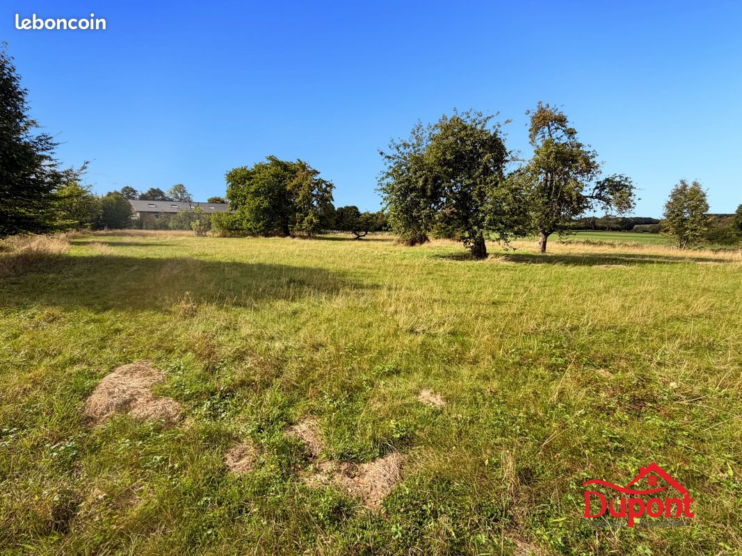 Terrain 3339 m² · à Taillette · 3 339 m² · 70 000 €