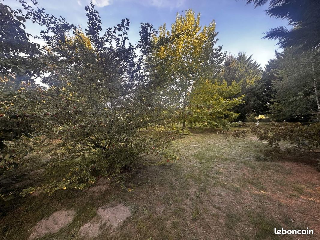 Longère 7 pièces 138 m² (image 20)